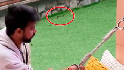 Snake In Bigg Boss OTT 3 House