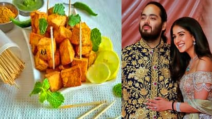 Anant radhika wedding garadu chat