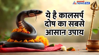 Nag-PAnchami-2024-kal-sarp-dosh-upay