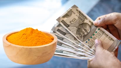 financial-upay-of-haldi