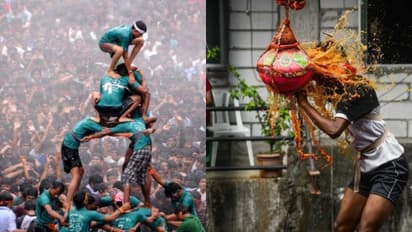Dahi Handi