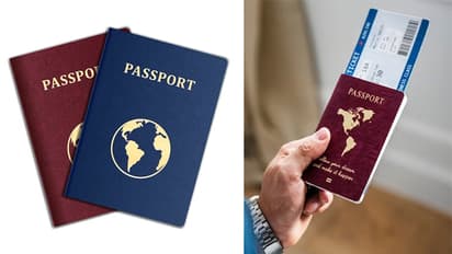 Passport Service Portal