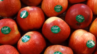 Apple and many Fruits Sold With Stickers