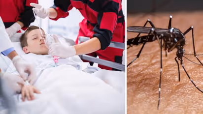 severe dengue emergency care in children