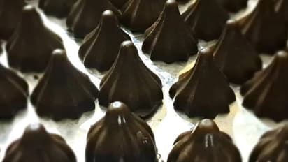 Chocolate modak craze