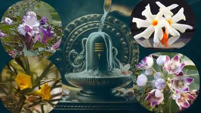 names of flowers loved by shiv