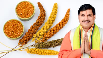 area-under-millet-in-madhya-pradesh-doubled-in-3-years