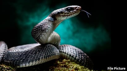 MP-mysterious-village