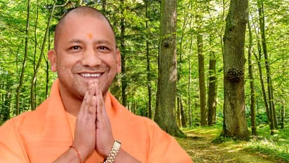 Yogi-Adityanath-government-set-to-celebrate-Forestry-New-Year