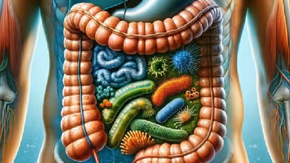 Foods for good mental health and gut health