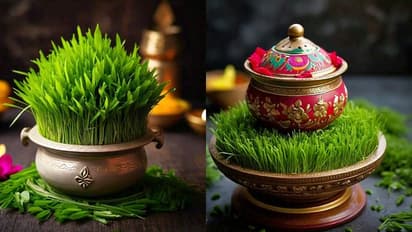 navratri javara placement