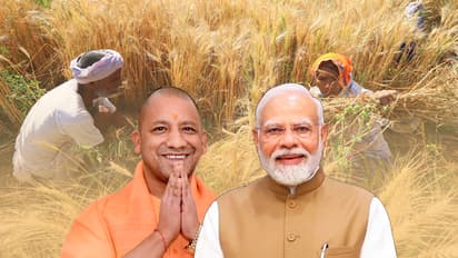 Yogi-Adityanath-appreciate-Cabinet-decision-to-increase-the-MSP-of-Rabi-crops