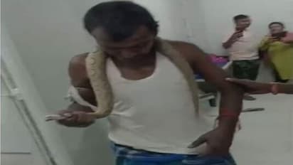 Bitten By Snake, Man Walks Into Bihar Hospital