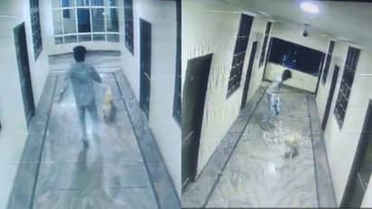 accidente hotel  hyderabad