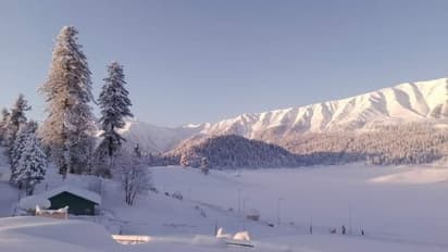 snowfall in uttarakhand