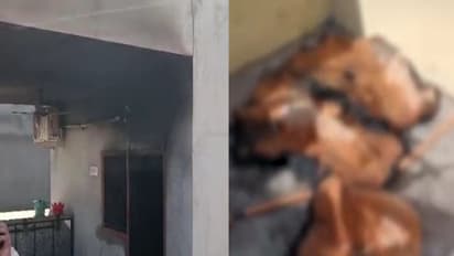 Mother burnt along with two children in Rajasthan