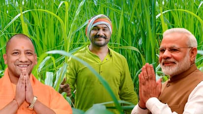 Yogi-Adityanath-govt-gave-financial-approval-for-Pradhan-Mantri-Fasal-Bima-Yojana