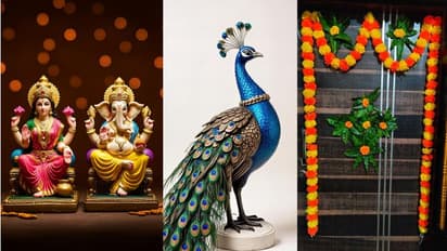 vastu tips for home decoration add these 10 things in your house decor 