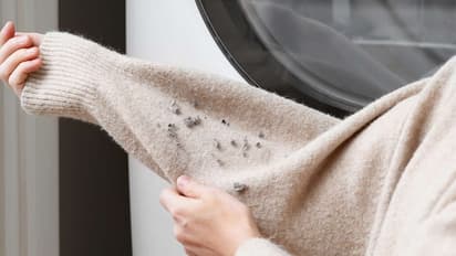 remove-lint-from-old-sweater-with-hair-comb