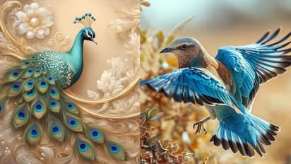 Peacock pictures Vastu benefits for home