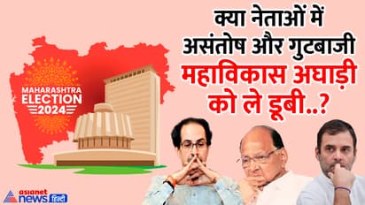 Maharashtra assembly election 2024 result