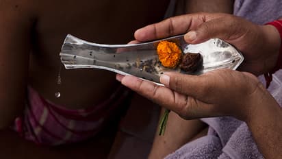 margshirsha amawasya 2024