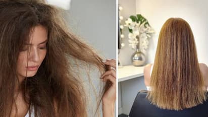 2024 Frizzy Damaged Hair Treatments
