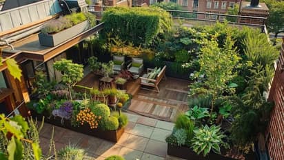 Terrace Gardening
