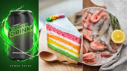 dishes and food product ban in 2024 year ender