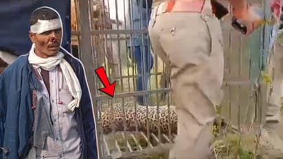 farukkahbad Pakad Gya Tendua