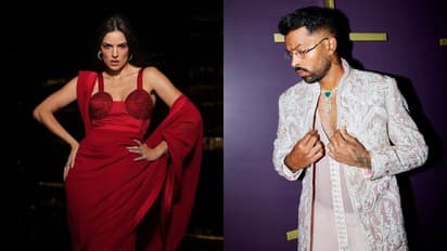 google most search 2024 hardik pandyaex wife natasha stankovic instagram reel fans reaction viral