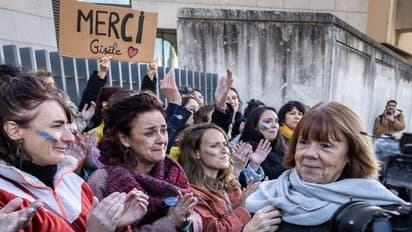 Dominique Pelicot case