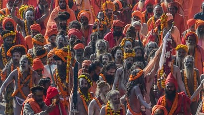 fibre-resin-artworks-to-beautify-Prayagraj-Mahakumbh-2025-Mela-area