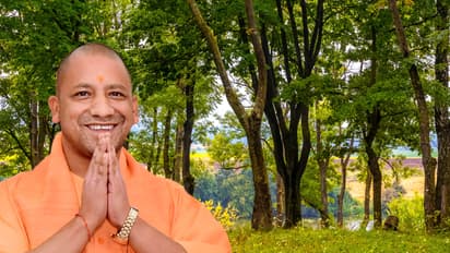 Yogi-Adityanath-government-launches-Operation-Shatakveer-to-protect-century-old-trees