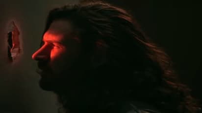 looking through the bathroom window