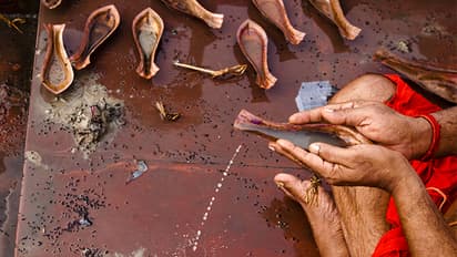 somwati amawasya 2024