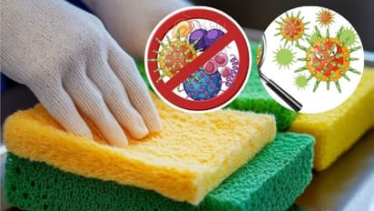 how to clean and make bacteria free kitchen sponge