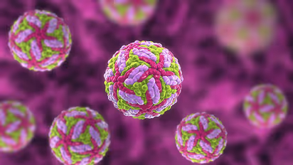 Human Metapneumovirus HMPV Symptoms & Treatment