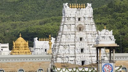 tirupati mandir hadsa