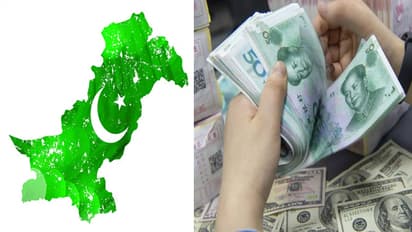 india vs pakistan forex reserve