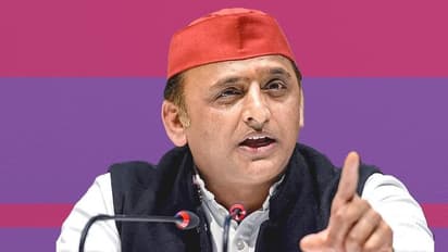 milkipur election 2025