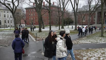success stories of students who accepted by all eight ivy leagues