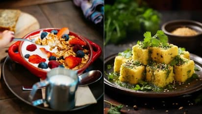 english cereals or indian idli dosa or paratha which is more healthy 