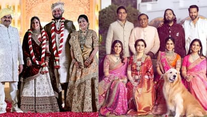 gautam adani daughter in law diva vs mukesh ambani daughter in law radhika popularity