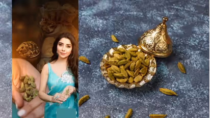 green cardamom benefits for money flow according to Vastu expert Jai Madaan