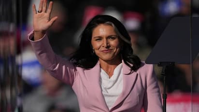 Tulsi Gabbard 