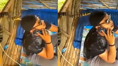 Snake bite shocking video