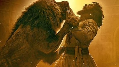 vicky kaushal film chhaava box office day 16 collection 