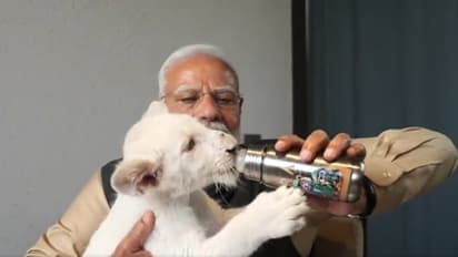 Narendra Modi