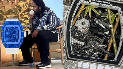 Anant-Ambani-Tourbillon-Panda-watch
